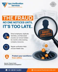 Background Verification Agencies